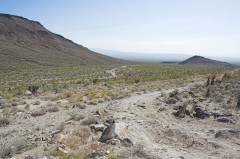 Mojave-Road-0052