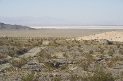 Mojave-Road-0175