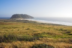 Big-Sur-0152