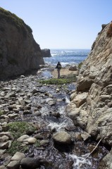 Big-Sur-0197