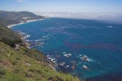 Big-Sur-0233