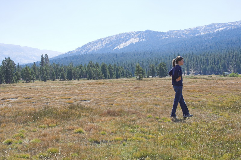 Tuolumne Meadows Camping Pictures - Tuolumne-Meadows-8565