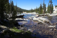 Tuolumne-Meadows-8730