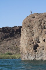 Lake-Havasu-0219