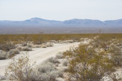 Mojave-Road-0048