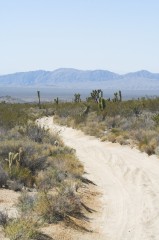 Mojave-Road-1121